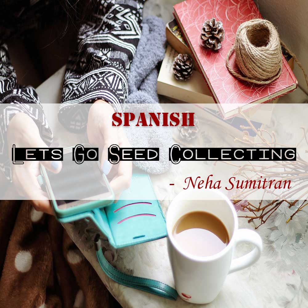 Lets Go Seed Collecting 